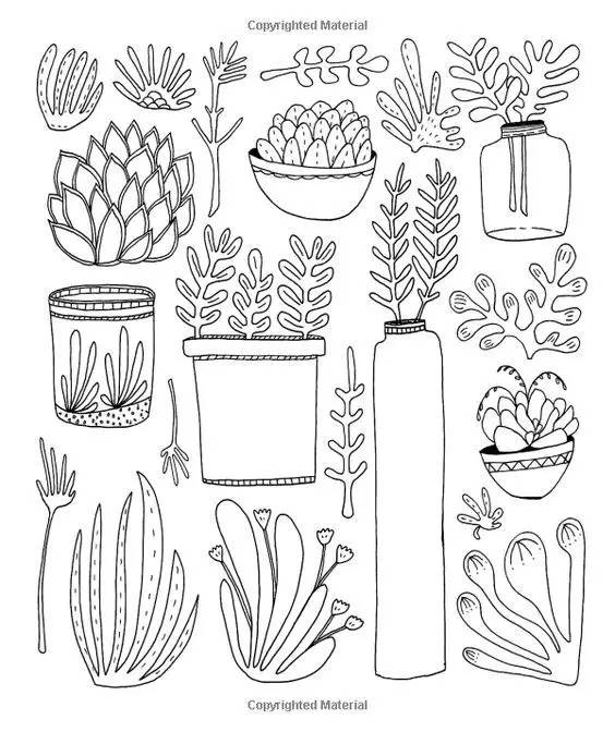 画画教程零基础都能学会,有了画画模板该怎么画