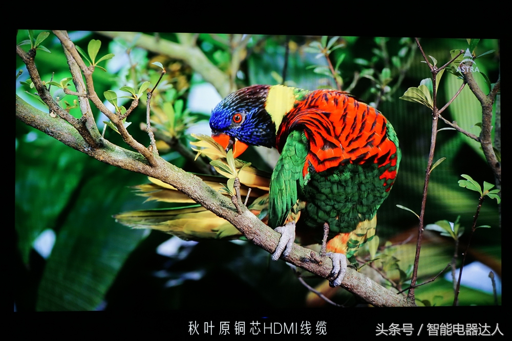 20米hdmi高清线选啥牌子,20米hdmi光纤与铜线哪个好