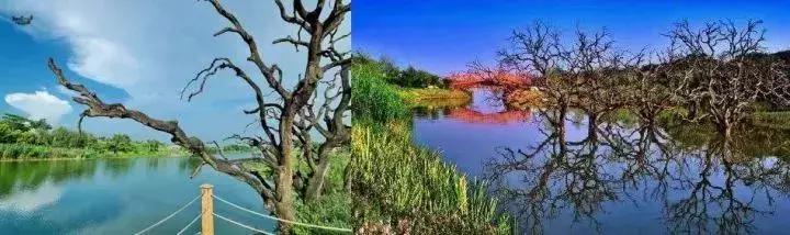 广州人少景美的古村落,广州好玩适合拍照的网红景点