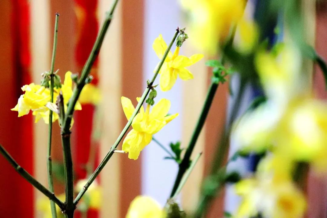 川菜爱好者的天堂斗鸡饭场伙，开业仅4个月成丽江新晋打卡圣地！