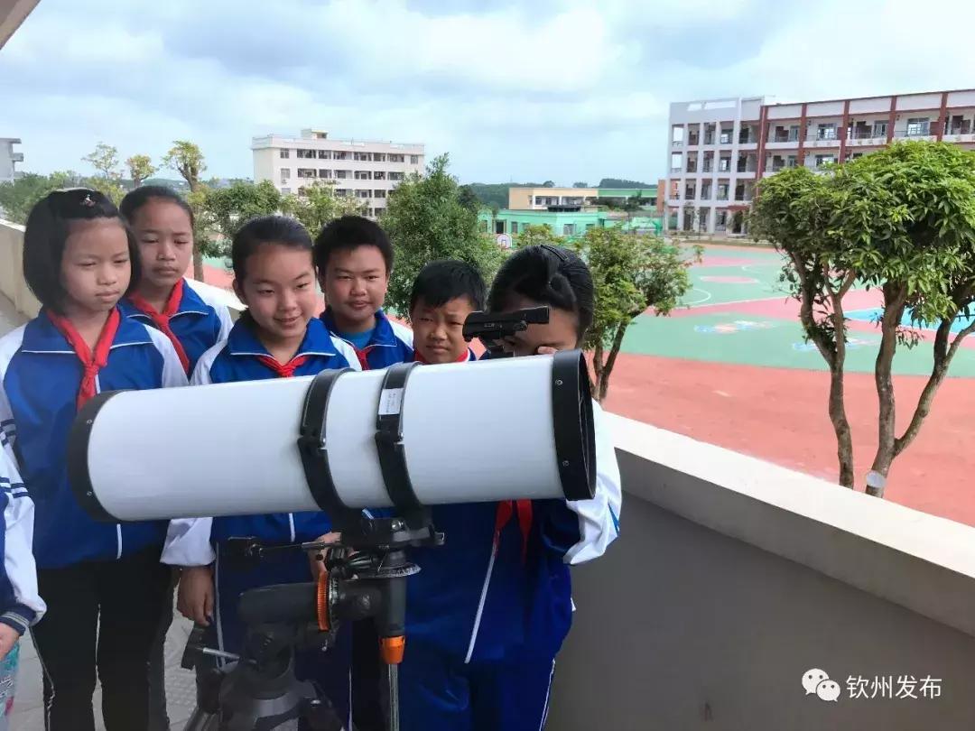 网眼看视界,网眼看钦南