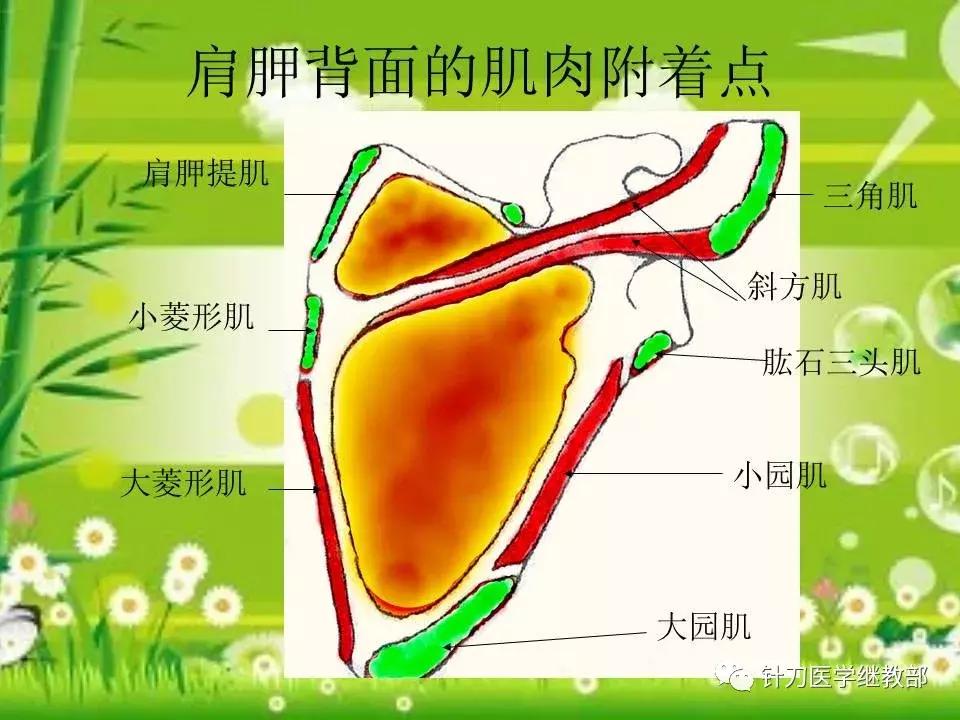 颈椎肌肉损伤用小针刀治疗,针刀治疗颈椎导致神经损伤