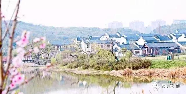 如果遇见你抖音版,如果遇见你2018浙江卫视