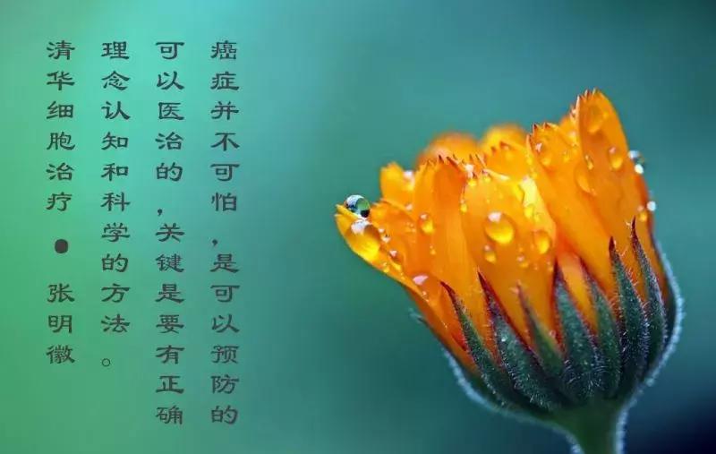 「肝胆管细胞癌，NKT治疗案例展示」清华NKT·乐和亲友·2016-43