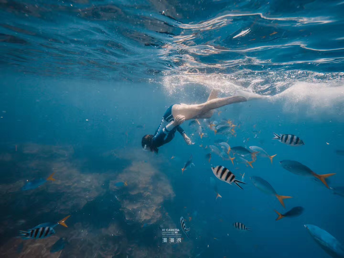 去帕劳玩是什么感觉,帕劳可以潜水吗