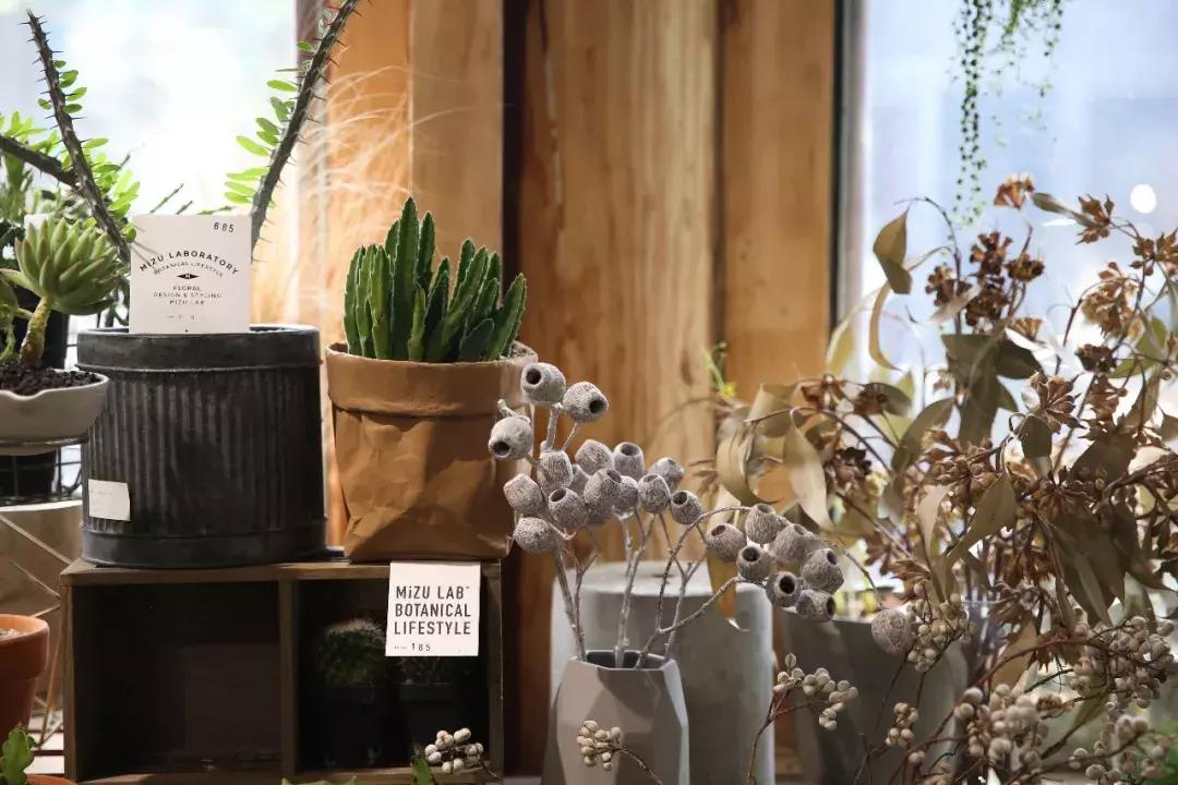 不爱回家探店,北京网红花店有哪些