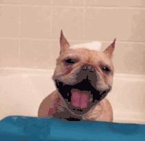 洗澡时的6个错误,洗澡最容易犯什么错误