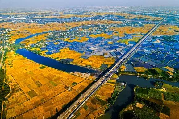 什么是广西男人,什么是广西