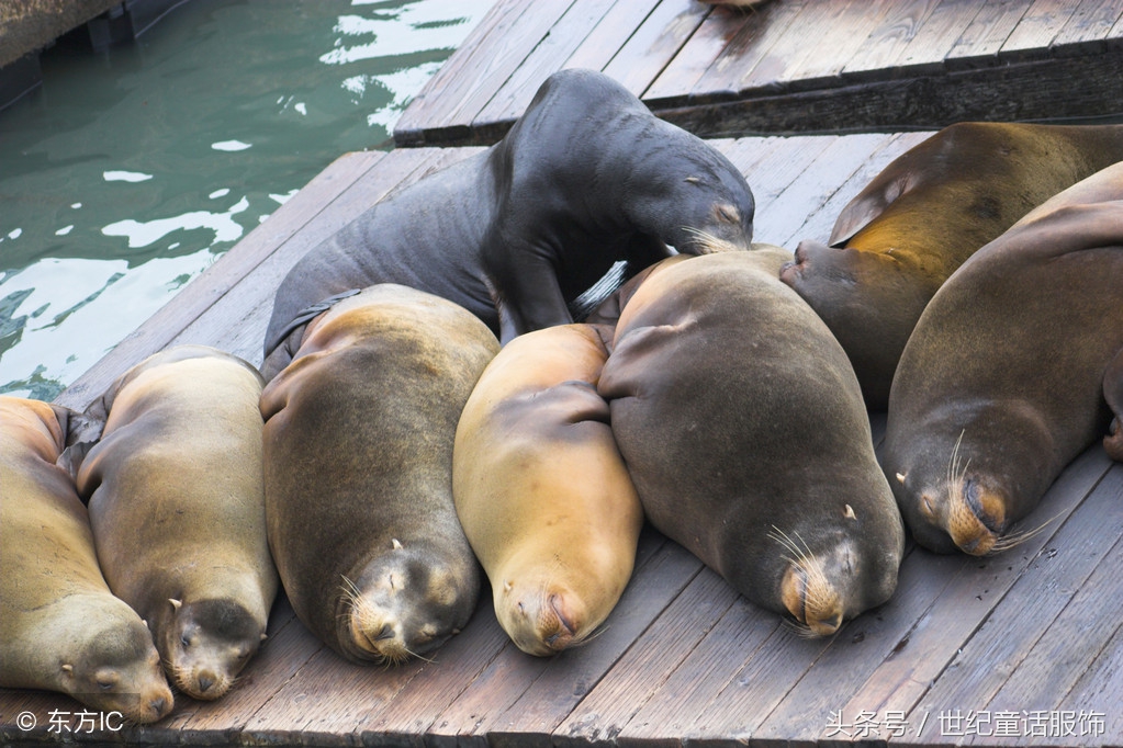 童装店长经验分享,童装店长收入多少