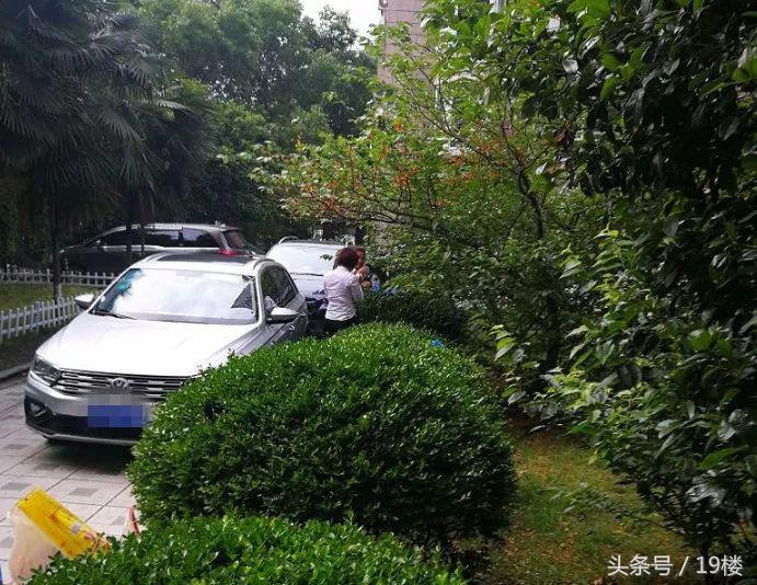 摘樱桃被骂,在小区里摘果子被业主制止还骂人