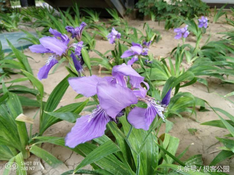 360n7pro8.21登场骁龙710加持,360n7和骁龙710