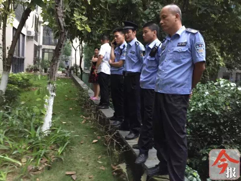 恶犬咬死小狗,花果园恶犬咬死猫