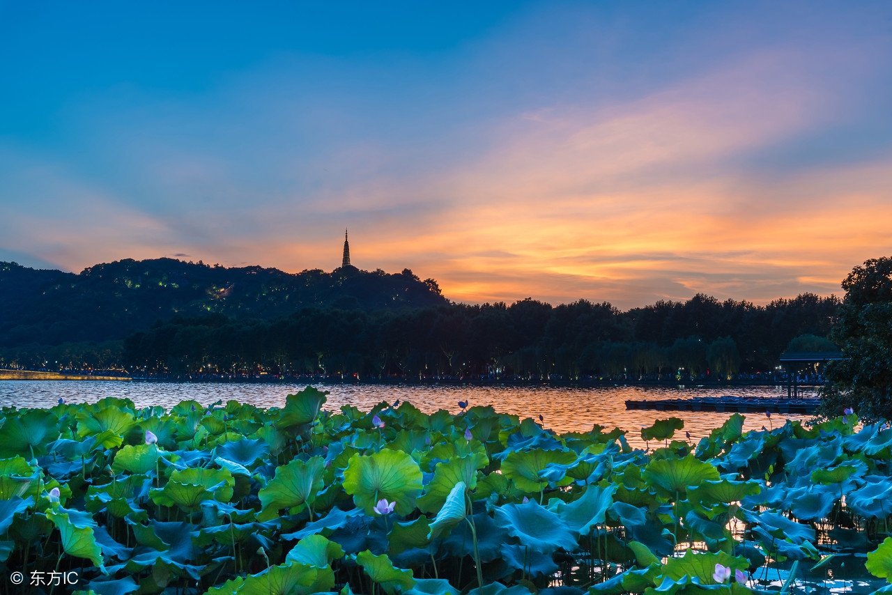 华山免门票2023可当日购买吗,华山免门票最新规定如何购买门票