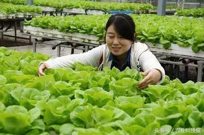 蝶变西安,富平农村蝶变