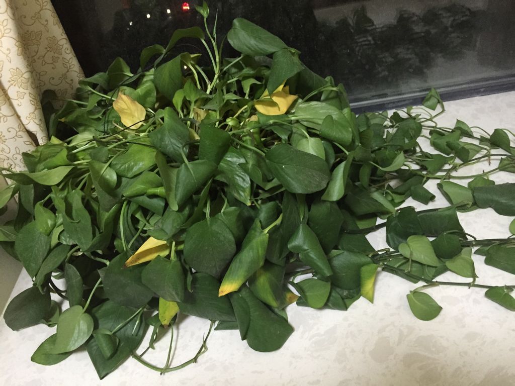 幸福的烦恼解决方法,幸福的烦恼有几个方面