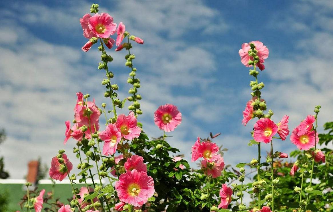 一个人身上透露这3个危险的信号,体内带毒是啥