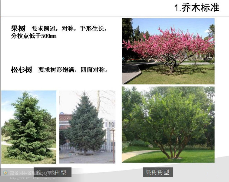 园林工程造价全套视频教程,园林工程预算及造价清单