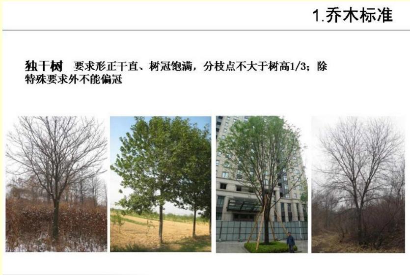 园林工程造价全套视频教程,园林工程预算及造价清单