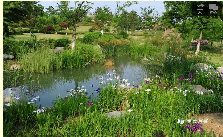 园林工程造价全套视频教程,园林工程预算及造价清单