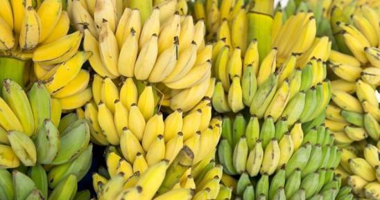 3岁宝宝突然肚子疼的撕心裂肺,3岁宝宝肚子疼的直打滚