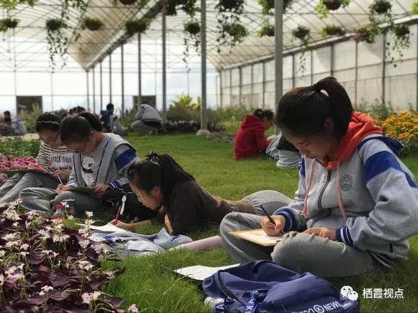 栖霞区实验学校怎么样,南京栖霞学校怎么样