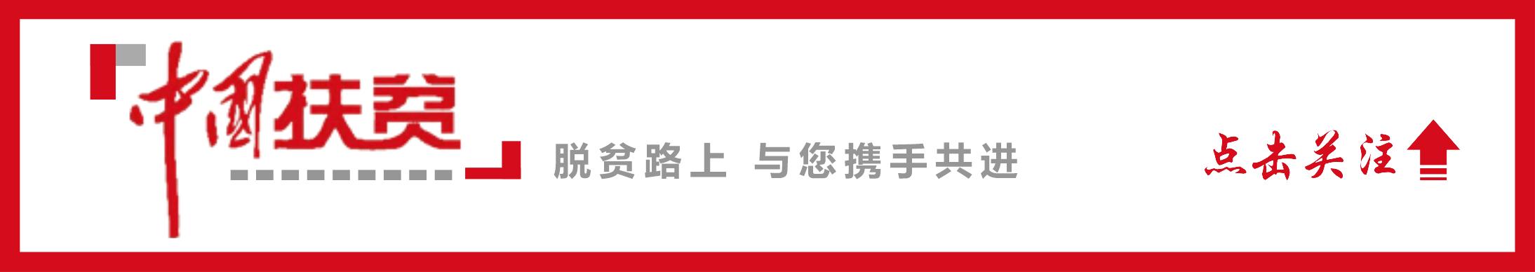 电商扶贫出新招农产品出山不再难,电商扶贫助力农产品走出困境