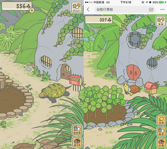 你好，这里有一只旅行完的青蛙等待你签收……