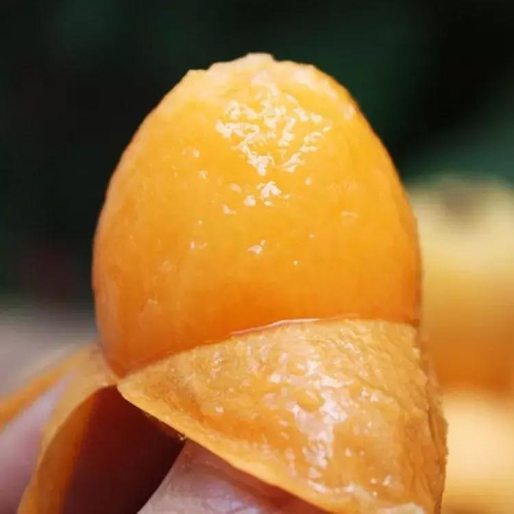 枇杷采摘季，一起去尝尝初夏的味道