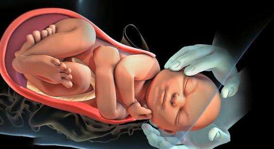 七斤左右的胎儿有多长,六七斤的胎儿是怎么样的