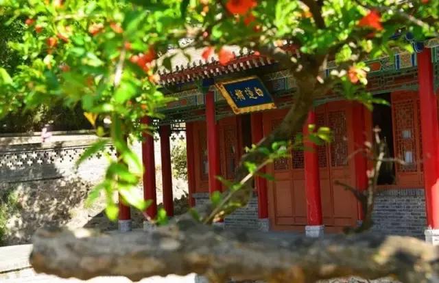 五月石榴花开正当时,五月景色石榴花开图片