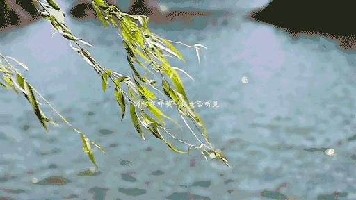 十渡旅游攻略自驾游,去北京十渡旅游攻略