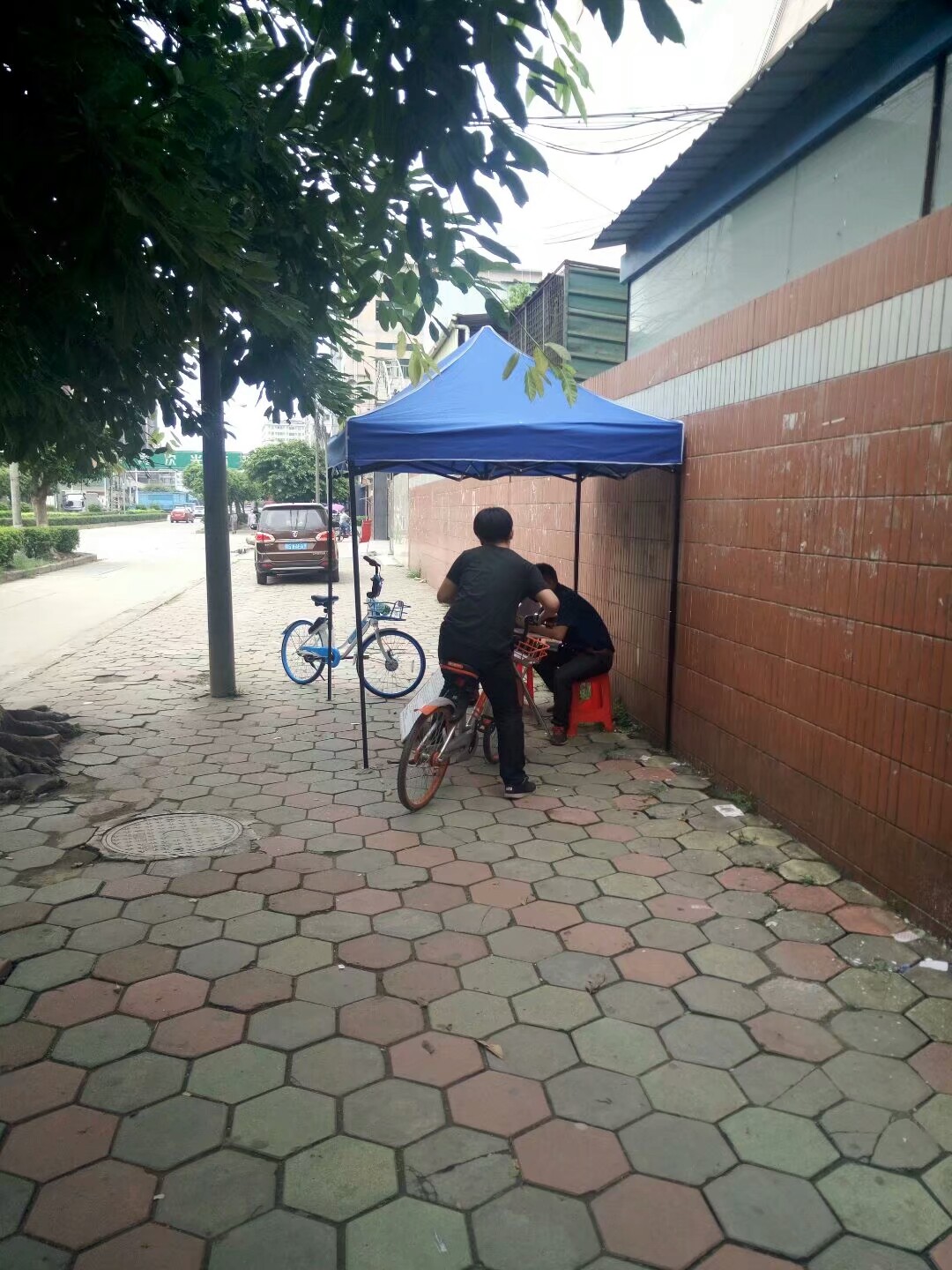 常平两班倒的工厂招聘,东莞长安哪个厂招工最新信息