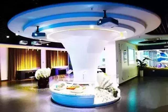 深圳必看的免费景点,玩转深圳十大免费景点