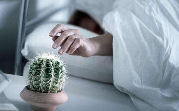 湿气有哪些危害,四种方法告诉你怎样去除湿气