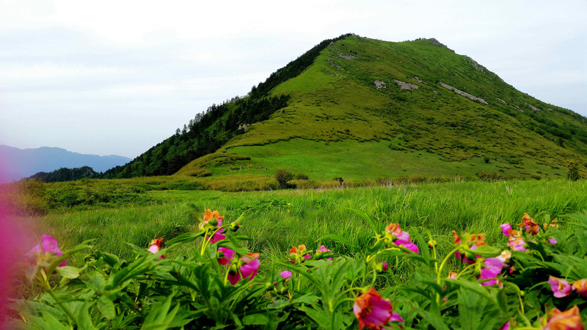 天华山-秦岭梁，又一条风景秀美的一日劲走线路