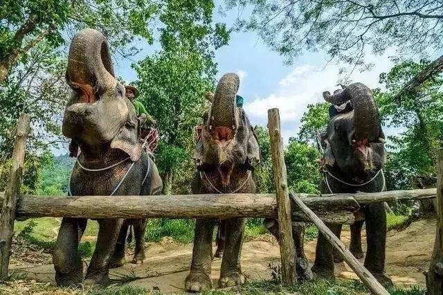 泰国普吉岛旅游攻略及费用,泰国旅游普吉岛攻略