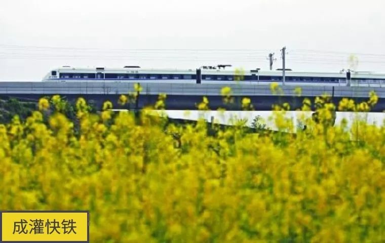 10列新车年内“加盟”成灌快铁！有望刷“天府通”！一起看看轨道上的大成都！