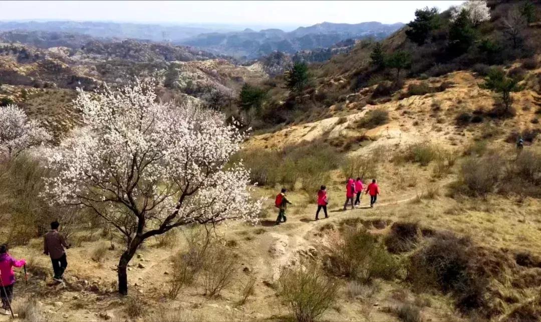 李旭清煤雕,李旭清最新视频