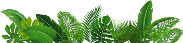 科协快讯,曲靖市科协会议