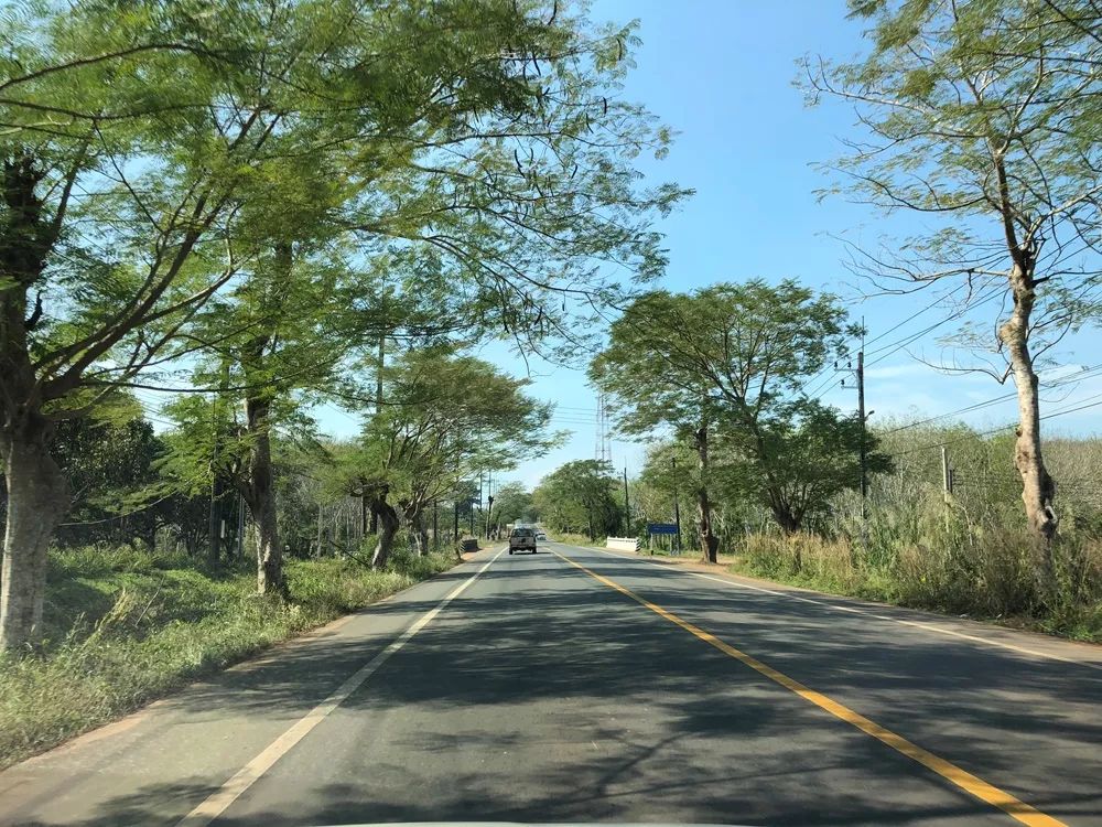 泰国文化礼仪之泰国水灯节,泰国水灯节开幕式视频