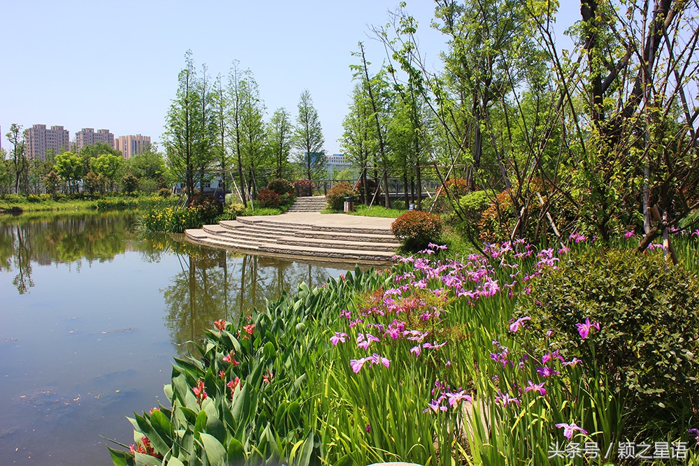 宁波西塘河路线图,宁波西塘河公园二期