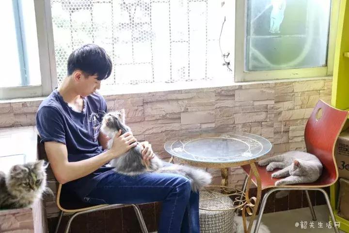 共享吸猫啦！藏身市区小巷内的这家撸猫馆，开门那刻，心就融化了