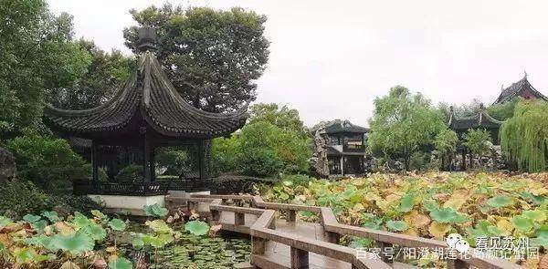 苏州是不是有两个平江路,苏州山塘街哪个是正门