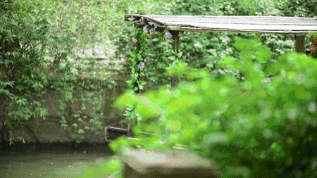 苏州是不是有两个平江路,苏州山塘街哪个是正门