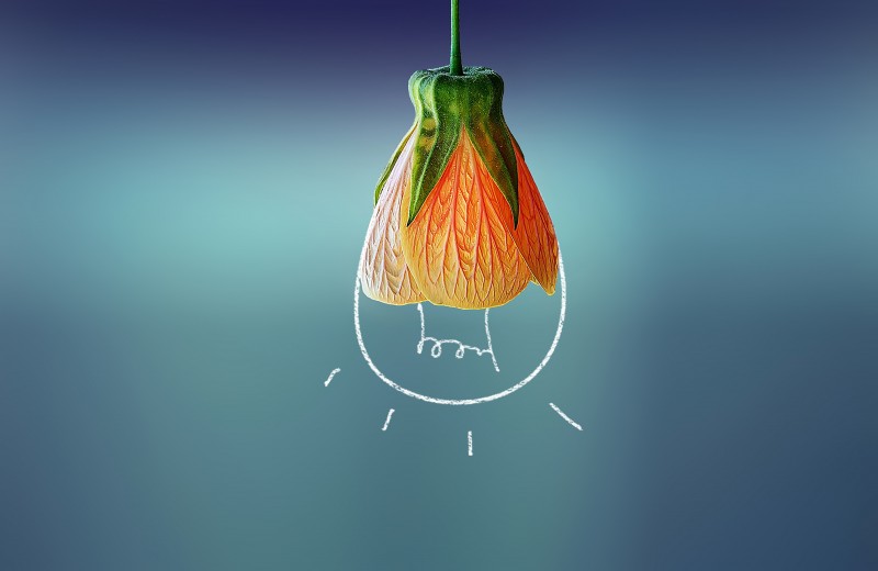 如何快速从失恋中走出来搞笑版,失恋后怎么快速走出来