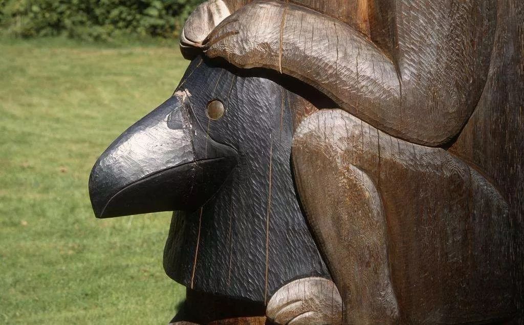 鸟与豚，高智商动物群像