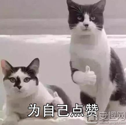 我怀念2011年时候的《推理学院》,再见了葫芦哥和贞子姐