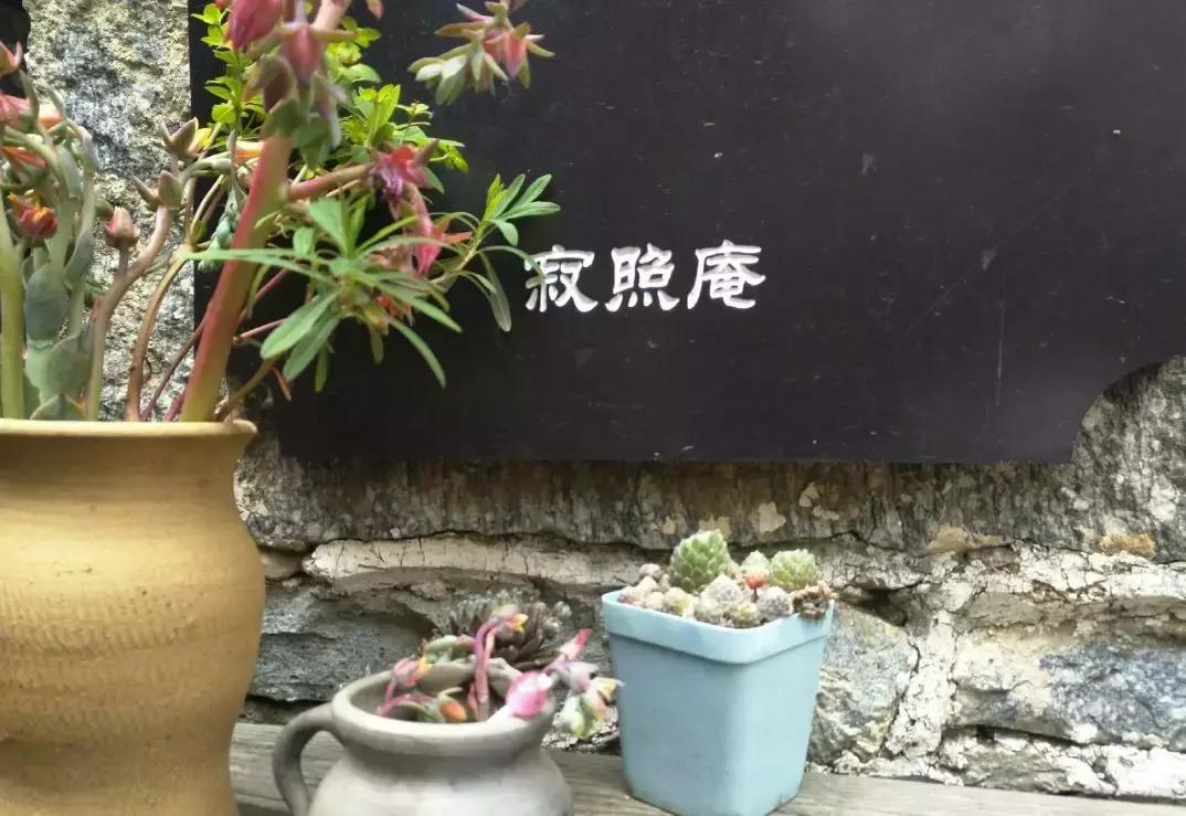 5月去了让人心安的大理,5月份大理玩什么