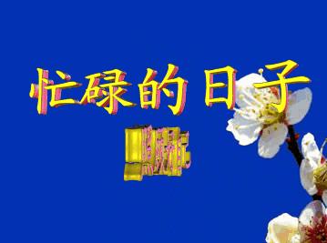 有个东西也许妈妈永远不会去买，但她真的很需要