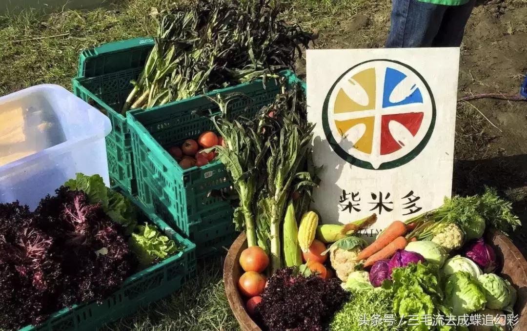 大理5月有什么玩的吃的,五月中旬大理适合旅游吗